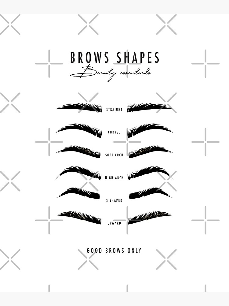 brows microblading eyebrow shapes mounted print by