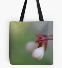 symmetric Tote Bag