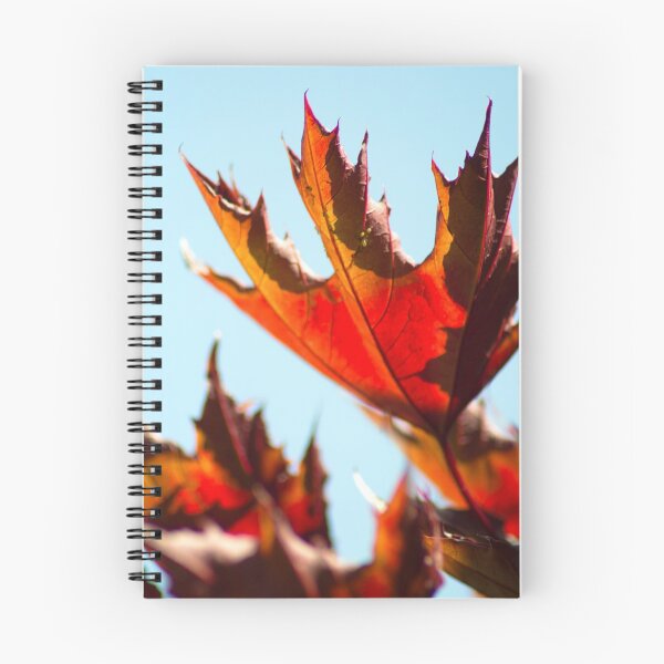 Item preview, Maple Leaves 1 designed and sold by bartlehalpin.