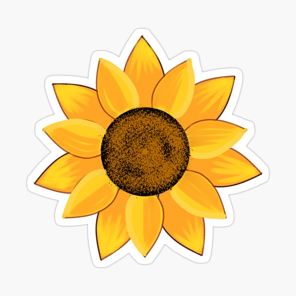 Póster «Hermoso dibujo realista de girasol dorado» de 420igor | Redbubble