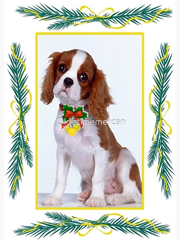 christmas cavalier king charles spaniel