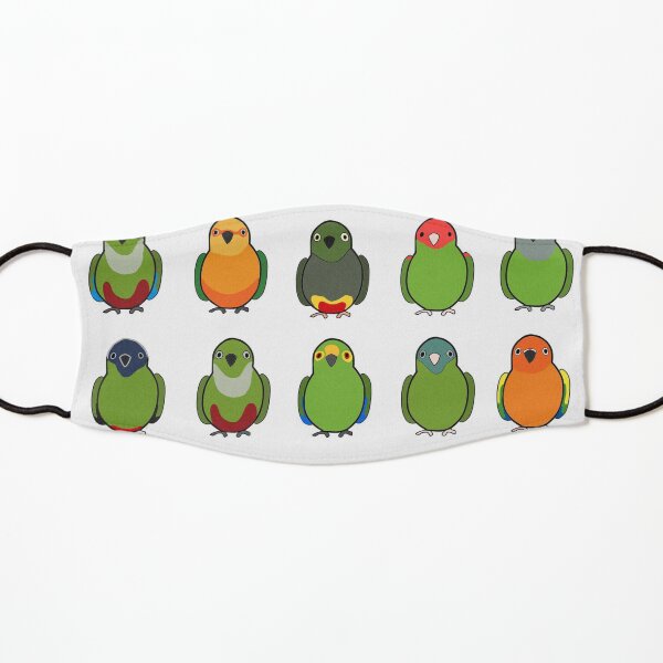 Flock of Conures Kids Mask
