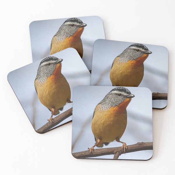 Item preview, Spotted Pardalote designed and sold by Richard  Windeyer.
