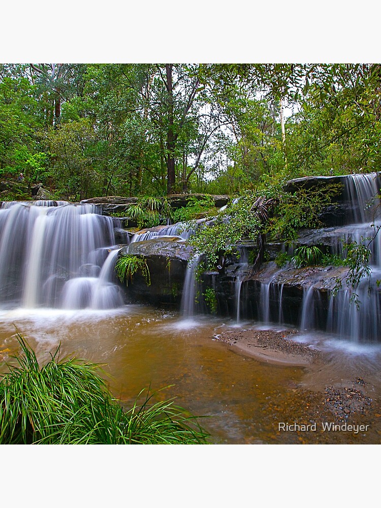 Balaka Falls, Carlingford, NSW by RICHARDW