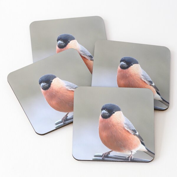 Item preview, Bullfinch designed and sold by carrizizi.
