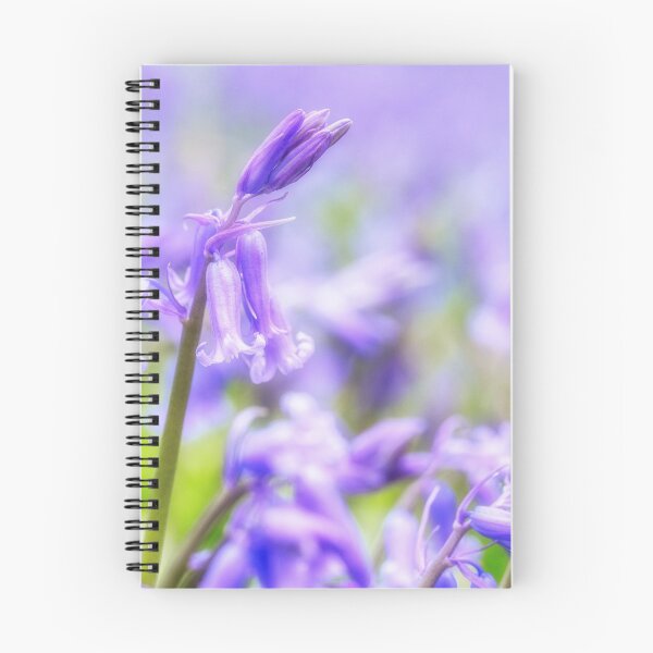 Item preview, Bluebell Bonanza designed and sold by framingplaces.