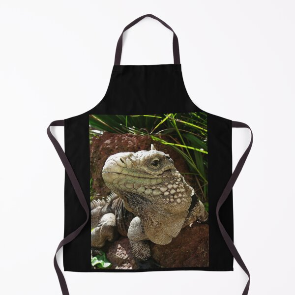 Aperçu de l'œuvre Iguane rock cubain créée et vendue par rootedrender.