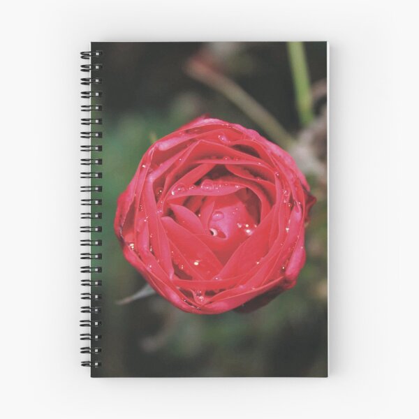 Item preview, ROSE designed and sold by XCEEDTRANSITION.