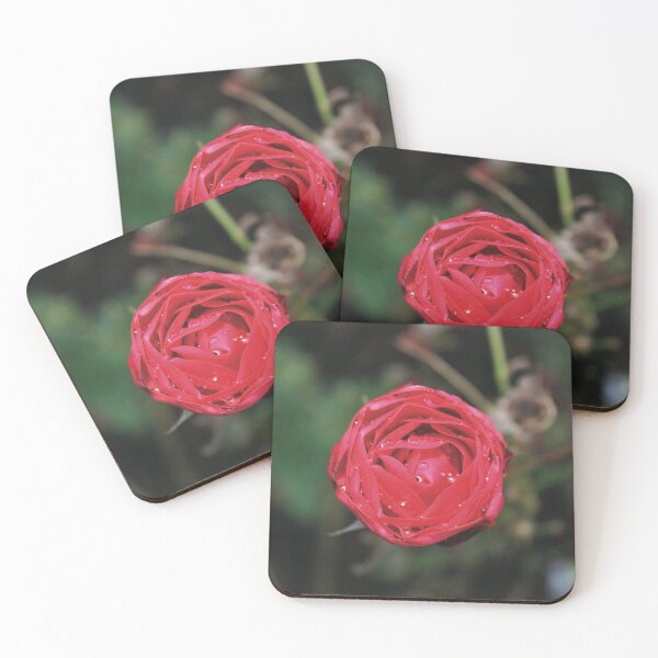 Item preview, ROSE designed and sold by XCEEDTRANSITION.