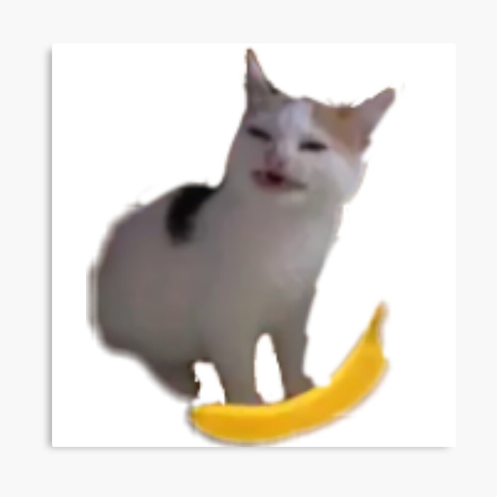 Кот банан фото. Бананья кошка. Бананья Мем. Кот банан Мем. Angry Cat no Banana.