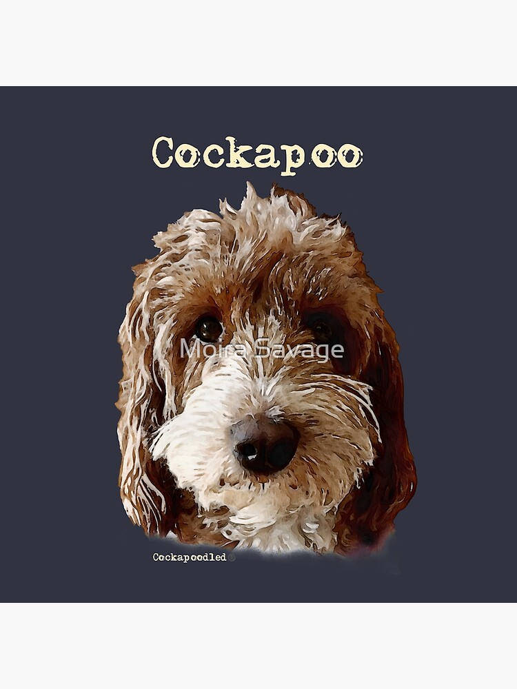 cockapoo pillow