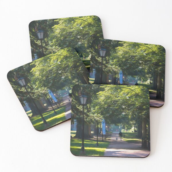 Item preview, Enjoying the Morning, Davidson College Campus designed and sold by Amy Dundon.