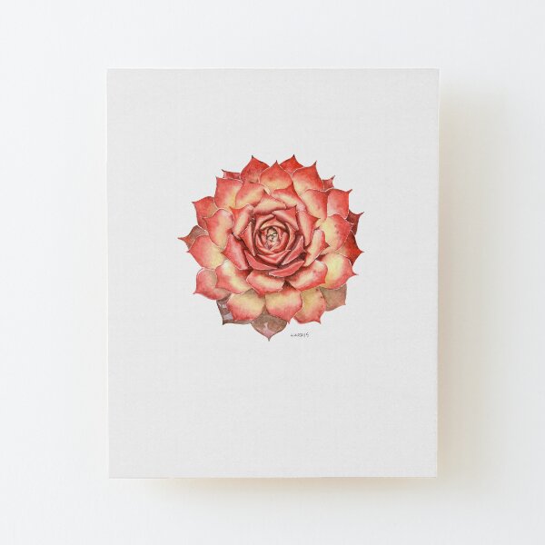 Sempervivium Wood Mounted Print