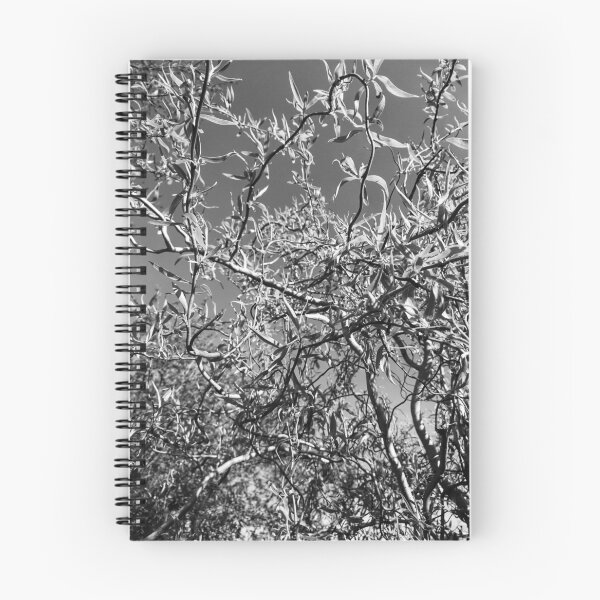 Item preview, Curly willow, York (monochrome) designed and sold by paulboizot.