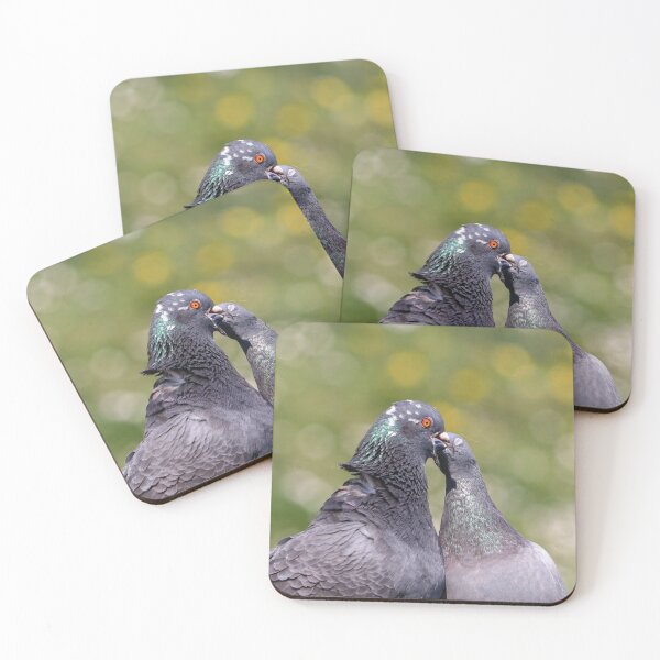 Item preview, Pigeon kiss designed and sold by GreyFeatherPhot.