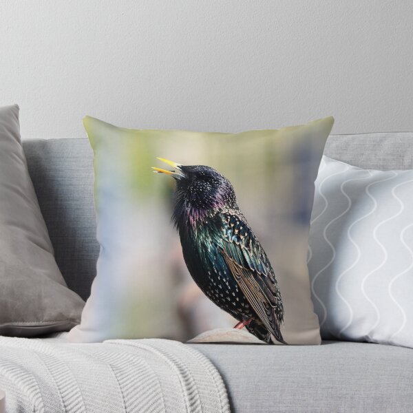 Item preview, Singing starling designed and sold by GreyFeatherPhot.