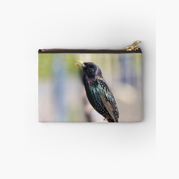Item preview, Singing starling designed and sold by GreyFeatherPhot.