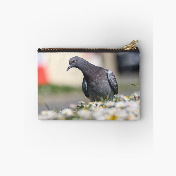 Item preview, Juvenile pigeon designed and sold by GreyFeatherPhot.