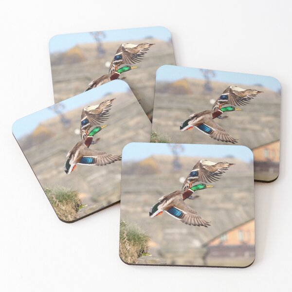 Item preview, Lift off designed and sold by GreyFeatherPhot.