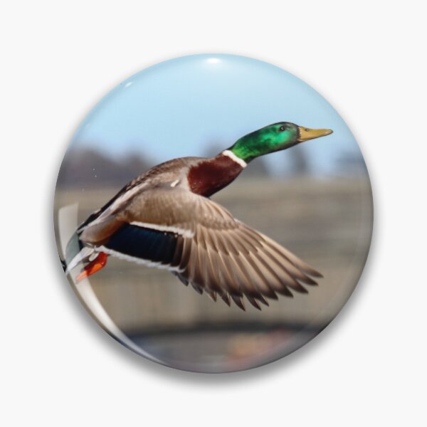 Item preview, Mallard flight designed and sold by GreyFeatherPhot.