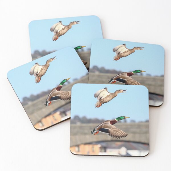 Item preview, Mallard flight designed and sold by GreyFeatherPhot.