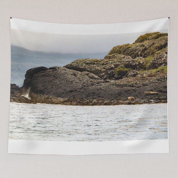 Item preview, Seals on Rocky Island - Scottish Highlands designed and sold by kaitlynloren.