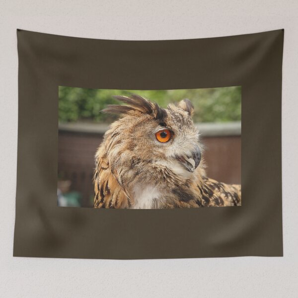 Item preview, Eagle Owl Portrait designed and sold by Jane Stanley Photography.