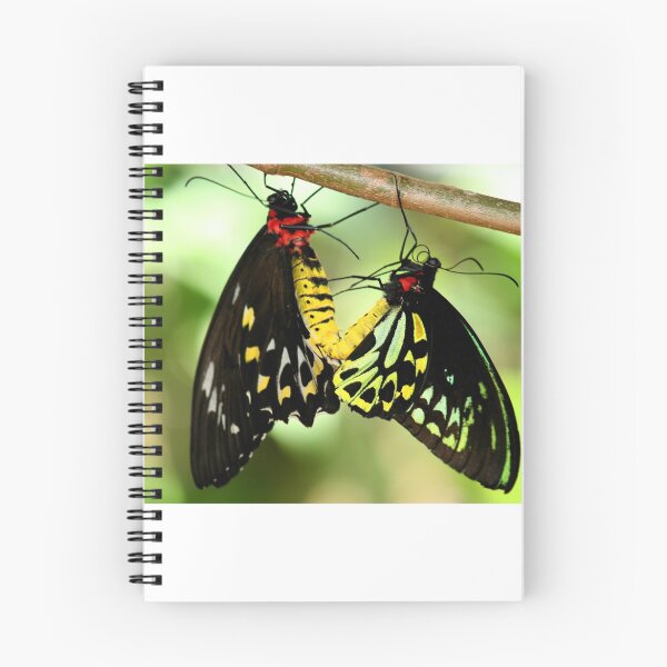 Item preview, Butterflies get together designed and sold by Rob Chiarolli.