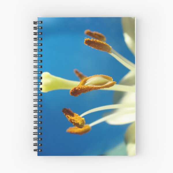 Item preview, Lily stamen designed and sold by oxford70.