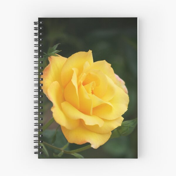 Item preview, Yellow Rose designed and sold by Rob Chiarolli.