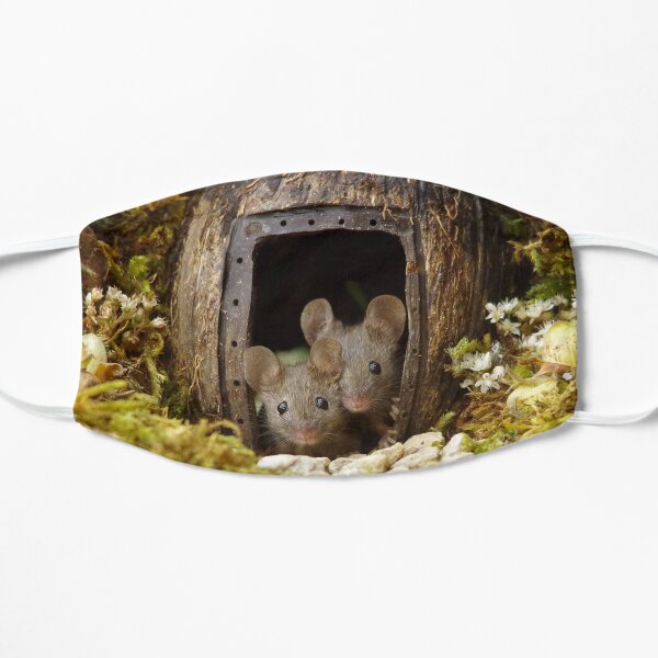two wild mouse at the wood pile door Flat Mask