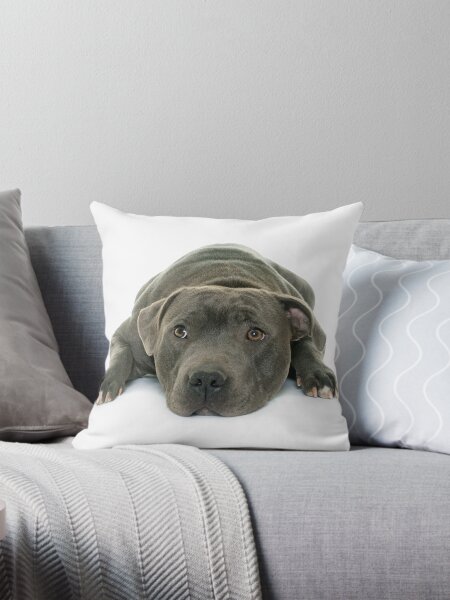Item preview, Blue Staffordshire Bull Terrier Super Cute Puppy Eyes designed and sold by DSBE Designs.