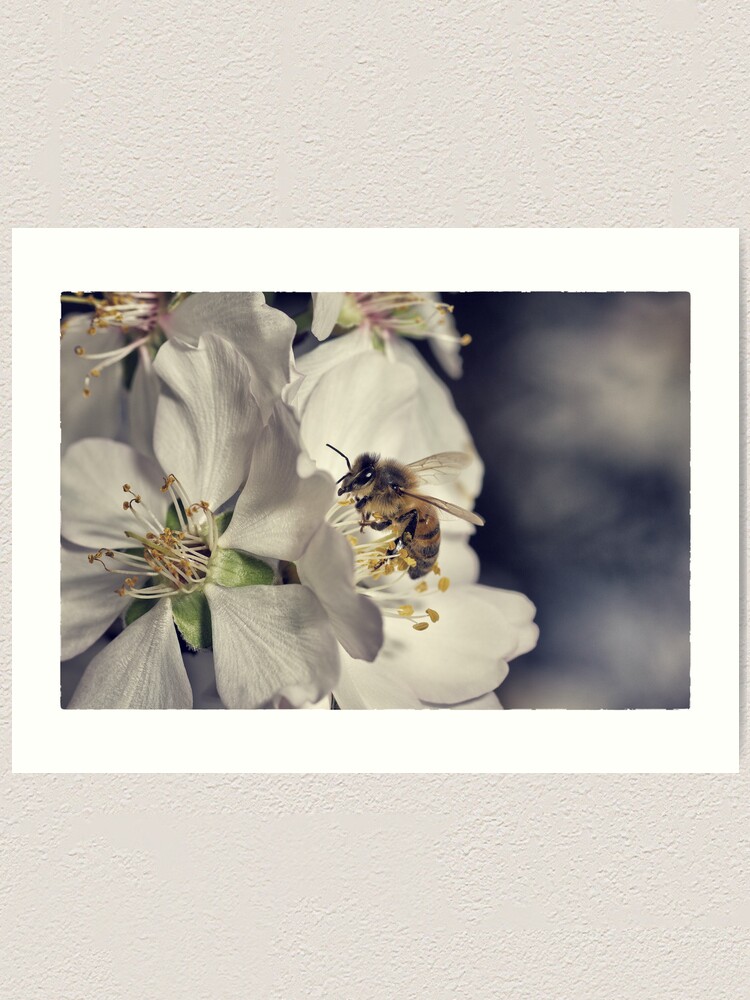 Alternate view of Apian Activity Art Print