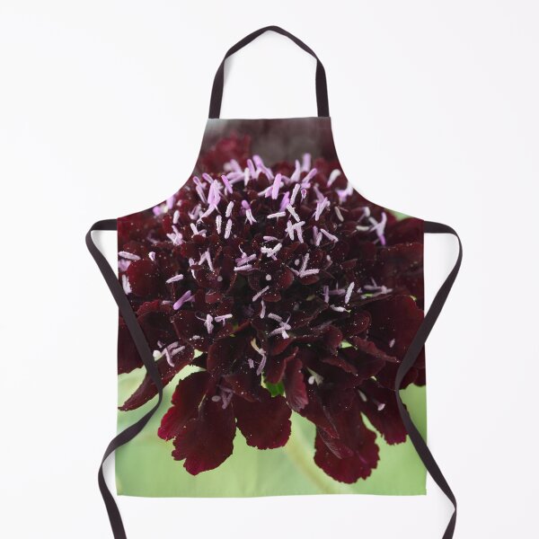 Aperçu de l'œuvre Série Scabiosa atropurpurea Blackberry Scoop Scoop créée et vendue par Chris Burrows.