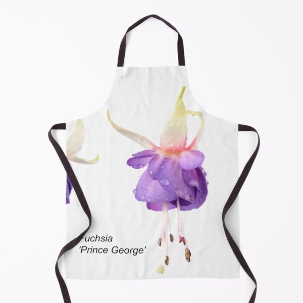 Item preview, Fuchsia 'Prince George' designed and sold by Chris Burrows.