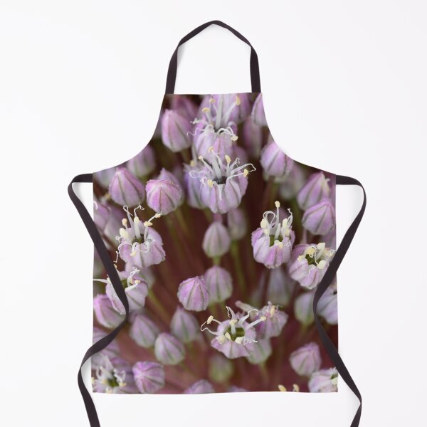 Item preview, Allium ampeloprasum 'Elephant' Elephant garlic flowers designed and sold by Chris Burrows.