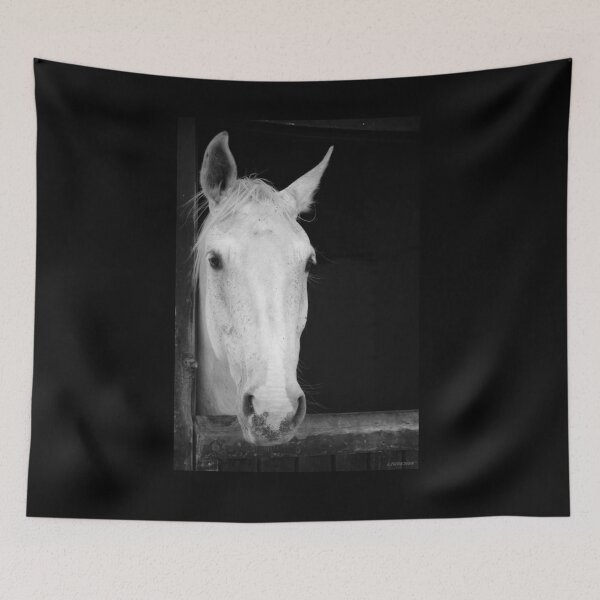Item preview, Easily Distracted by Horses - Daisy Gray designed and sold by LJWDesigns.
