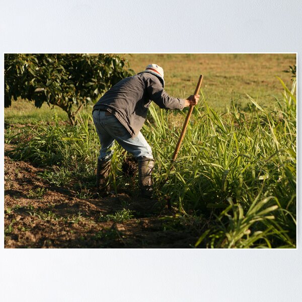 Artikelvorschau, Ecuadorian Farmer Irrigating Crops entworfen und verkauft von rhamm.