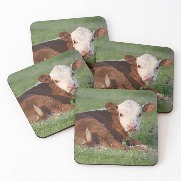 Item preview, Sweet Little Calf designed and sold by ReneeKennedy.
