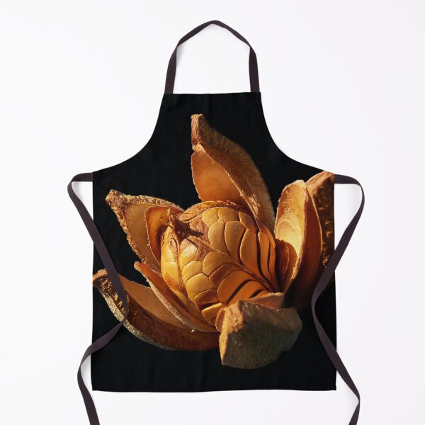 Item preview, Mahogany Seeds DPG150525 designed and sold by CSteenArt.