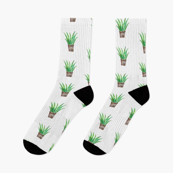 Artikelvorschau, Wasserfarbe Aloe entworfen und verkauft von francihutch.