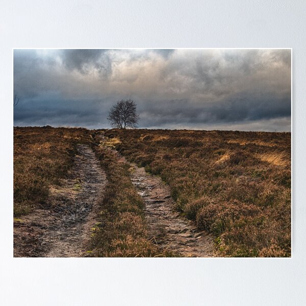 Norland Moor Poster