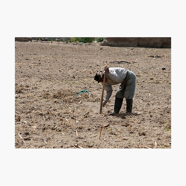 Item preview, Farmer Tilling a Field designed and sold by rhamm.
