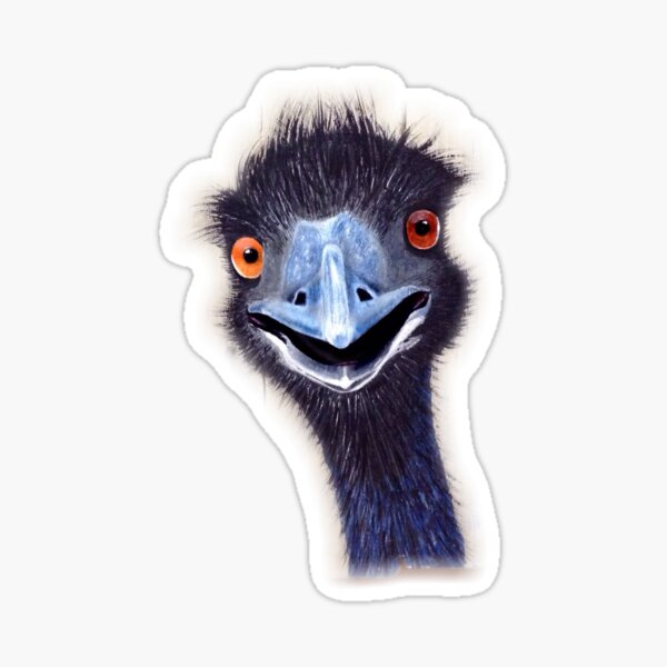Punk blue emu bird Postcard for Sale by Julie Matthews