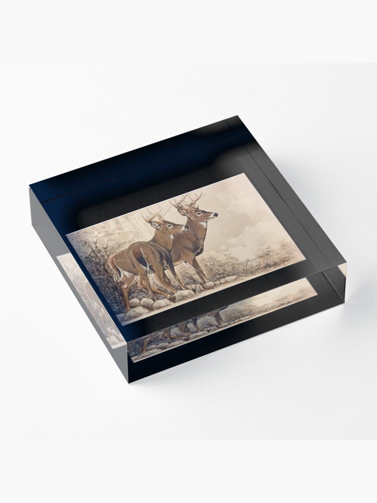 Alternate view of Fall Bucks Acrylic Block