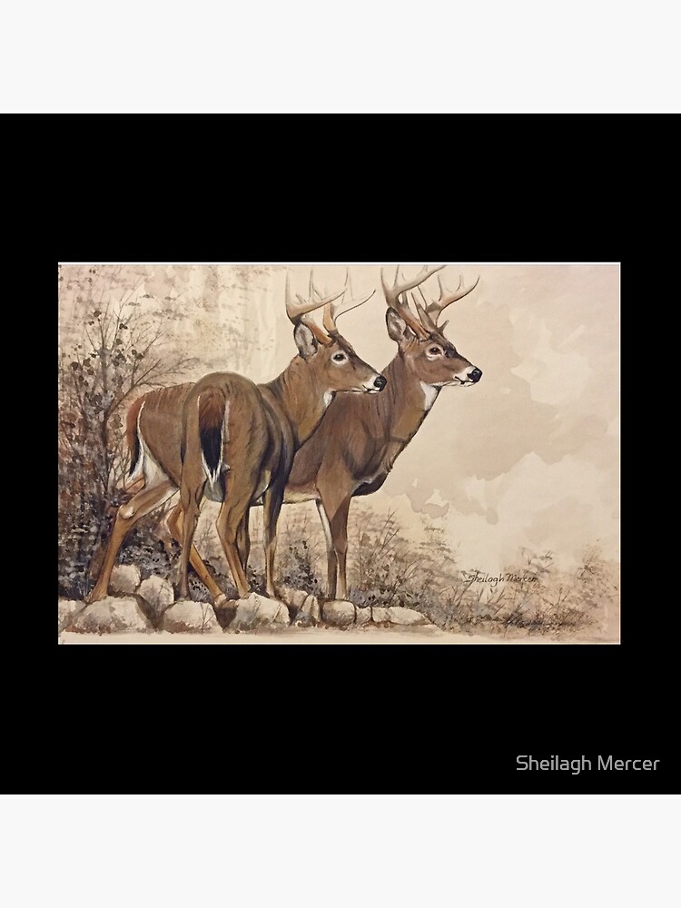 Fall Bucks by SpiritArt777