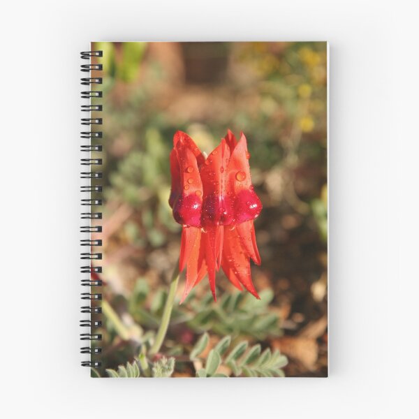 Item preview, Sturt's Desert Pea designed and sold by Rob Chiarolli.