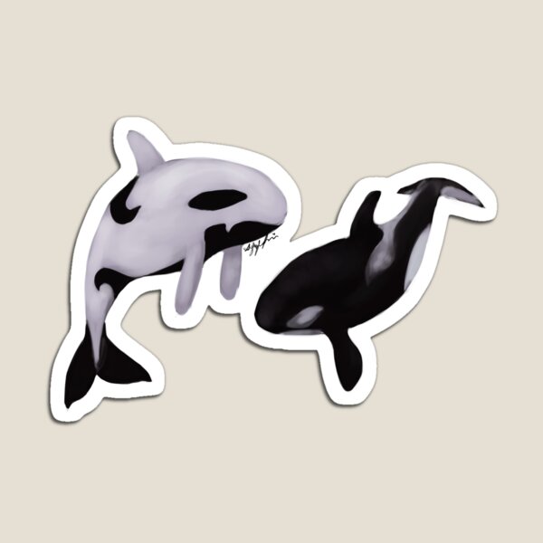 Yin Yang Orca magnet