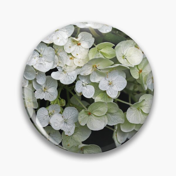 Item preview, White Hydrangea designed and sold by Deb Oppermann.