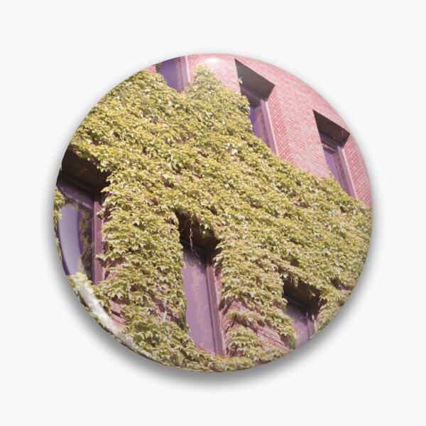 Item preview, ivy on brick wall vintage polaroid  designed and sold by mariahmoniquedesign.